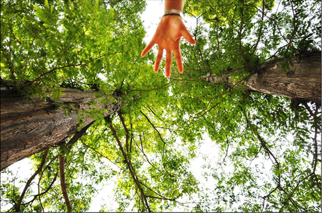 德州扑克俱乐部